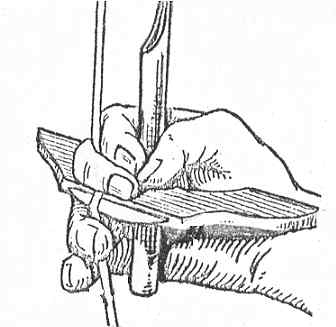 ani-ani.jpg (11680 bytes)