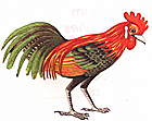 ayam_jantan.jpg (4729 bytes)