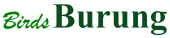 birds_text.gif (1986 bytes)