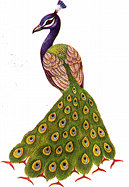 peacock.jpg (11642 bytes)