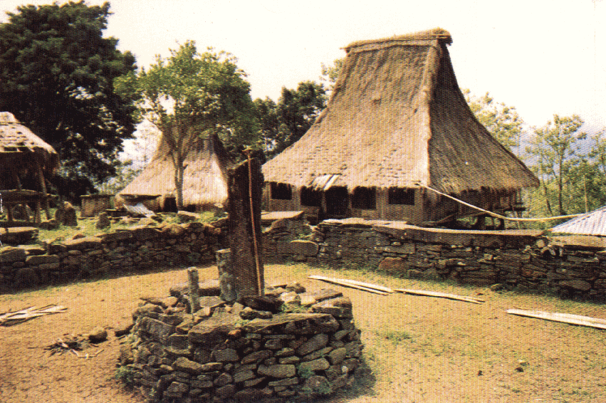 wologai_village_ende_flores.gif (325749 bytes)