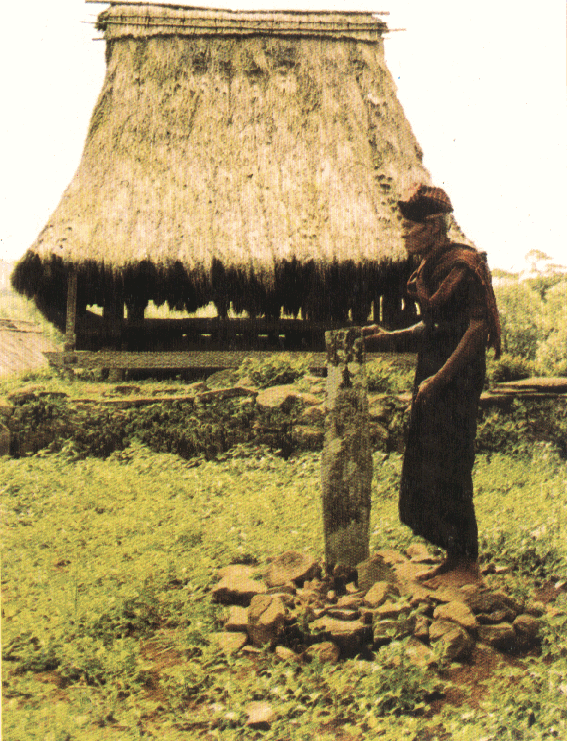 wolotopo_village_ende_flores.gif (285927 bytes)