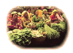 pasar.gif (22364 bytes)