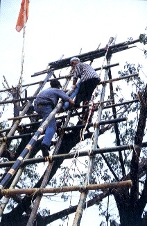 lantern_bangfai.jpg (37852 bytes)