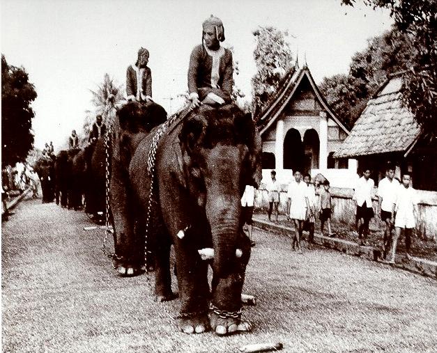 Elephant procession during the Pimay (new year) festivities (M.L.P. 1940)