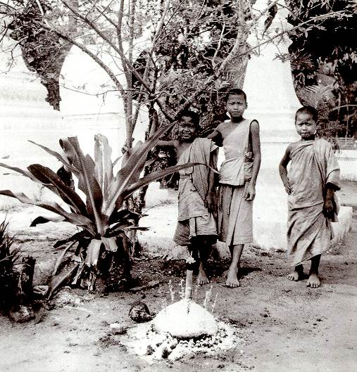 (Manikus P.R. 1953)