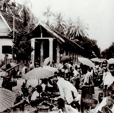 (Roquebain M.L.P 1924)