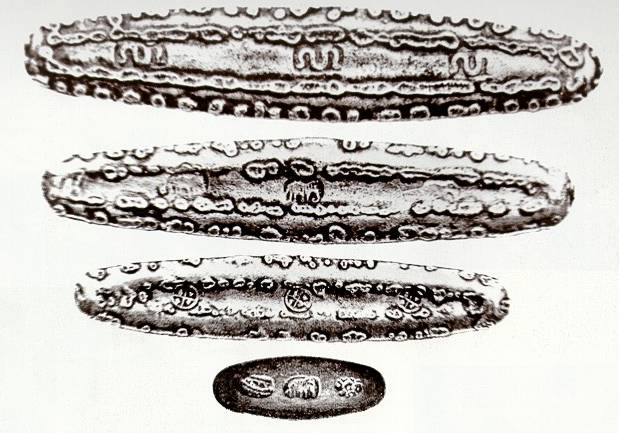 (Pavie, 1887)
