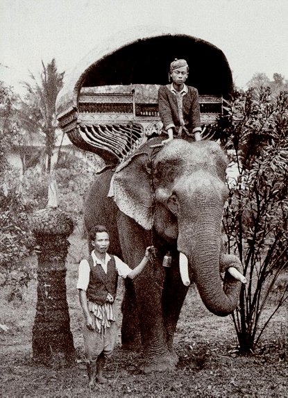 Elephant with palanquin (M.L.P. 1926)