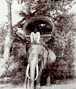 Elephant with palanquin (Pavie 1887)