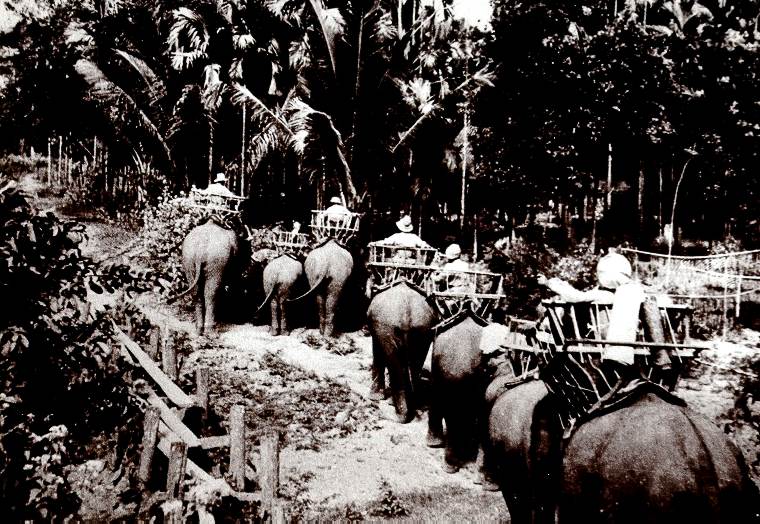 Caravan of elephant (M.L.P. 1926)