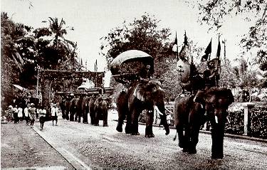 Elephant Procession (M.L.P. 1940)