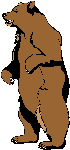 bear70.gif (1814 bytes)