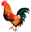 manok.gif (4008 bytes)