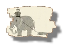 elephant2.jpg (8218 bytes)