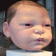 mueck_baby_head_jan_06.jpg