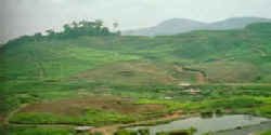 Pemandangan_Puncak