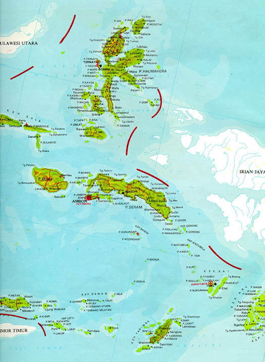 malukutotal.jpg (54536 bytes)