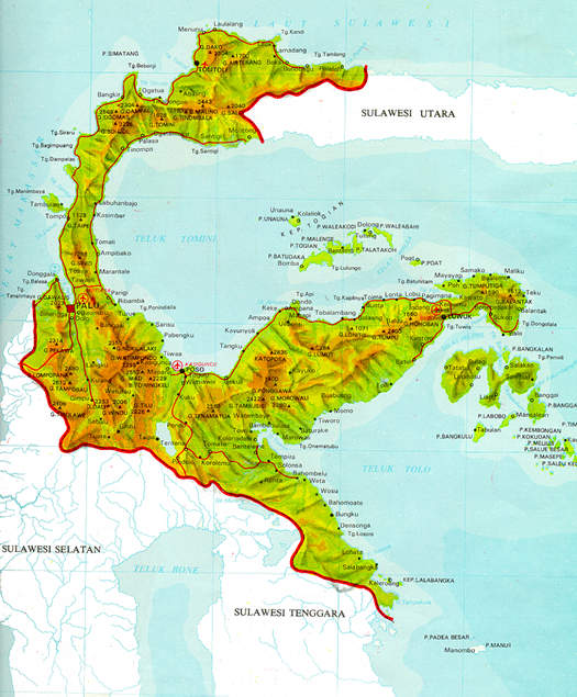 sultengtotal1.jpg (59713 bytes)