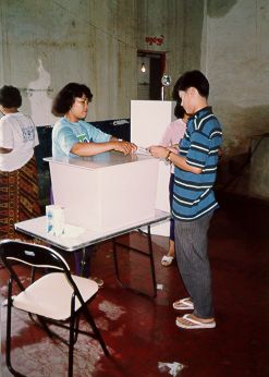 voting1.jpg (18992 bytes)