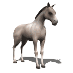 horse.gif (15900 bytes)