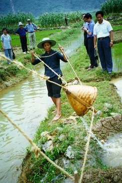 Waterbasket 2