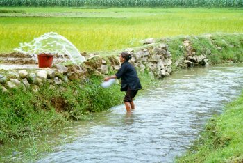 Water wheel 1