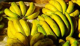 banana.jpg (11412 bytes)