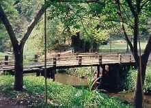 bridge.jpg (8446 bytes)