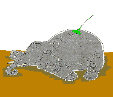 elephant_leaf.gif (20025 bytes)