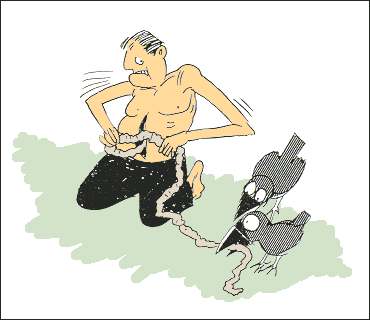 feed_crow.gif (11555 bytes)