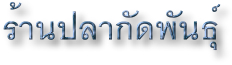 p79.jpg (14354 bytes)