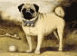 dog.gif (2989 bytes)