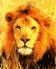 lion1.gif (2760 bytes)