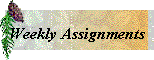 dialog.gif (3647 bytes)
