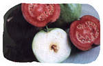 redguava